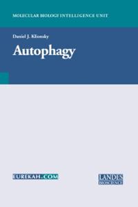 Macroautophagy in yeast