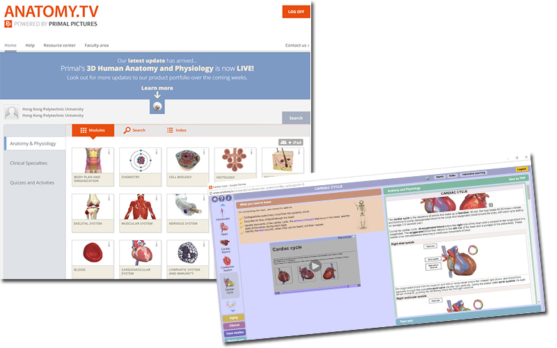 Anatomy & Physiology Online