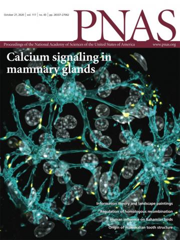 Prevention of hepatitis C virus infection in chimpanzees by hyperimmune serum against the hypervariable region 1 of the envelope 2 protein