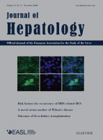 The long and winding road leading to the identification of the hepatitis C virus