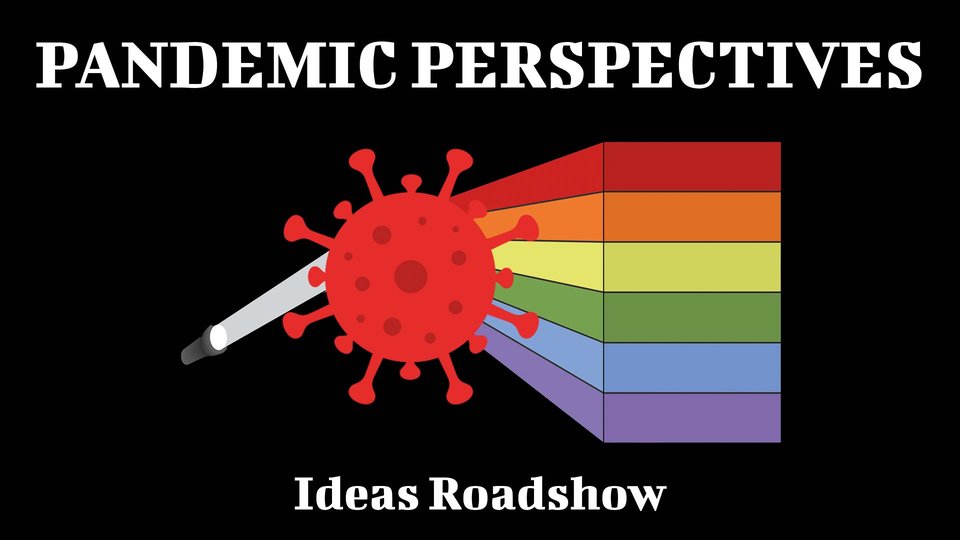 Pandemic Perspectives