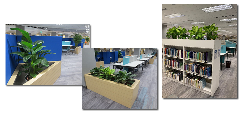 Greening the Library